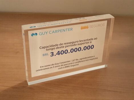 BMG SEGUROS 